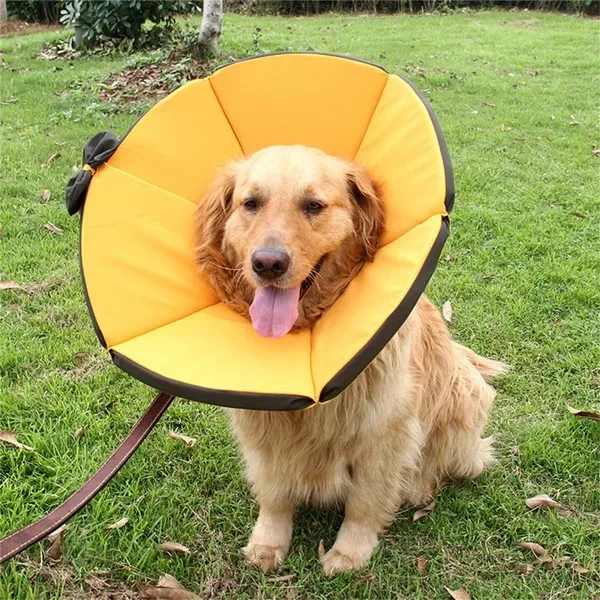 Pet Recovery Collar Dog Cats Protective Cone After Surgeries Collar Multiple Size Collar Multiple Size Collar